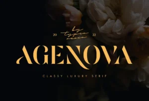 Agenova - Modern Luxury Bold Stencil Serif