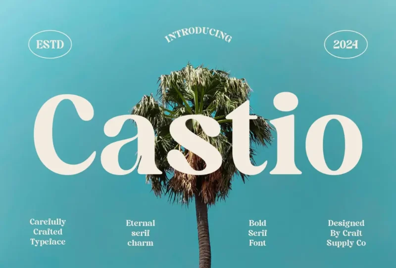 Castio - Bold Serif Font