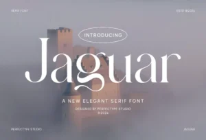 Jaguar - Elegant Serif Font