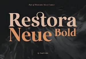 Restora Neue Bold Font